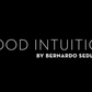 Good Intuition by Bernardo Sedlacek video DOWNLOAD
