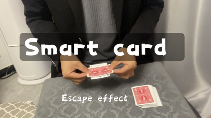 Smart Card by Dingding video DOWNLOAD